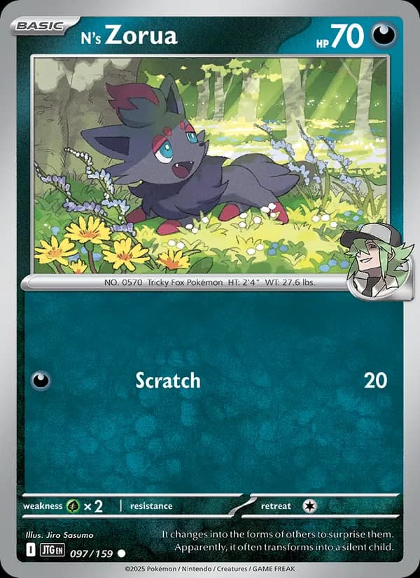 N's Zorua