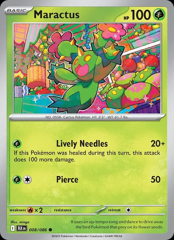 Maractus
